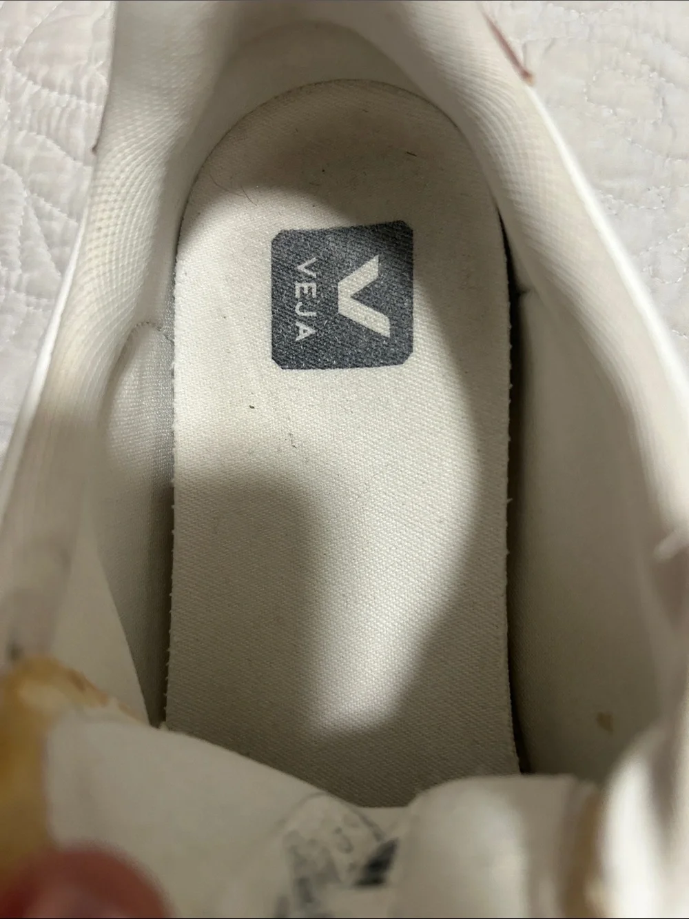 Veja White Sneakers with Brown Logo